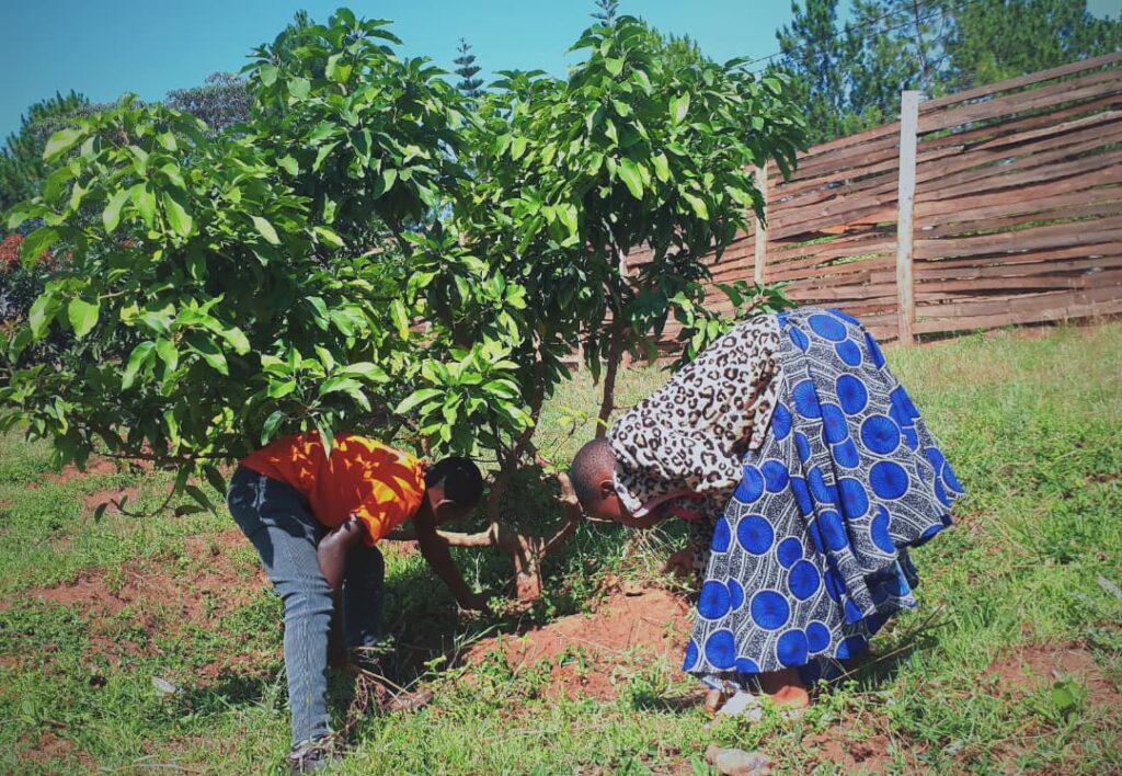 1f7ad6b0 58de 4fe3 9191 9db1b020c508 1024x708