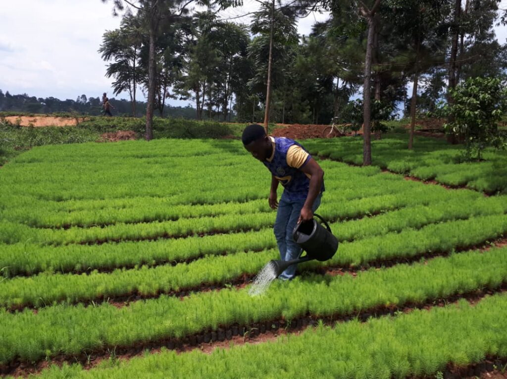 4ab36630 9315 455f A29f De3cc59c12bc 1024x767