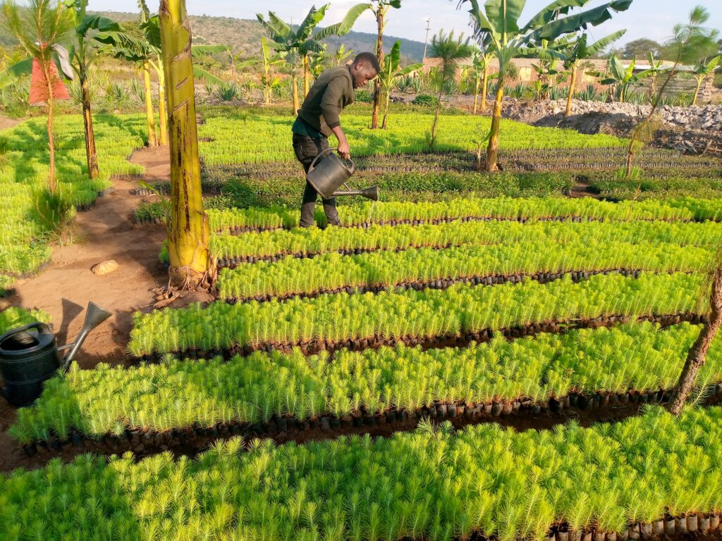 IMG 20221012 172745 321 1024x768