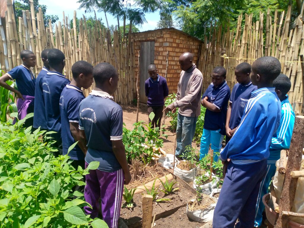 IMG 20221023 120636 391 1024x768