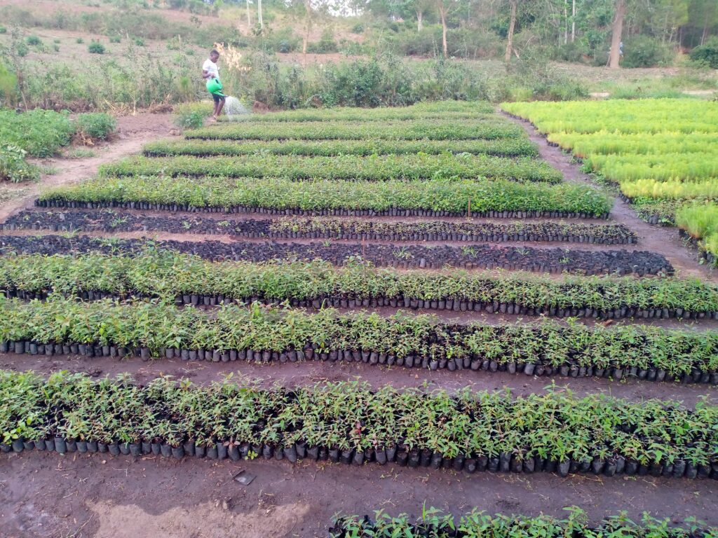 IMG 20221025 181015 706 1024x768