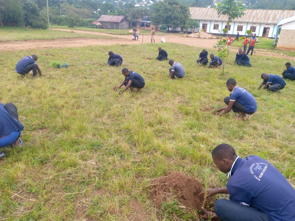 IMG 20230118 164611 853 1024x768