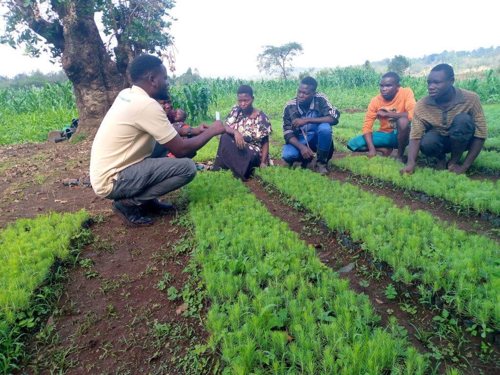 IMG 20230927 094926 919 1024x768