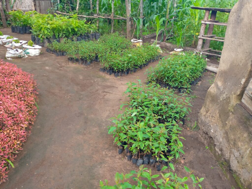 IMG 20231210 135007 511 1024x768